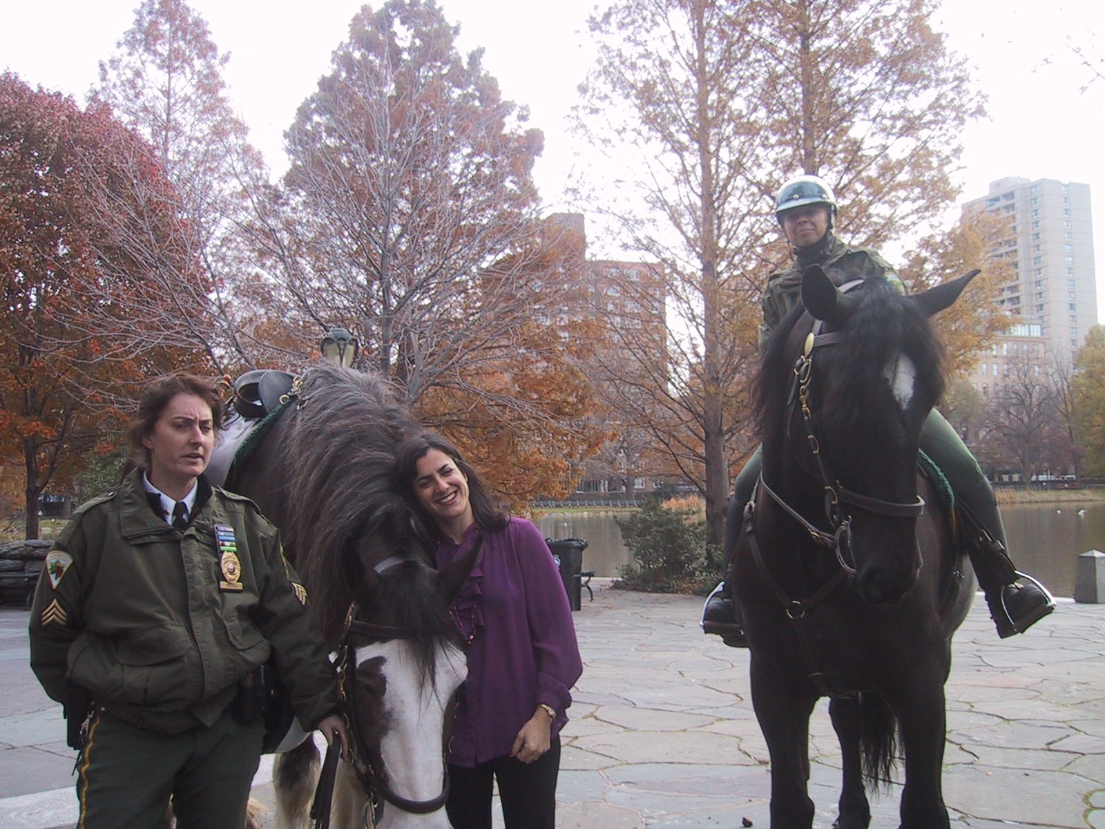 Members of the Central Park Mounted Unit visiting the Gingerbread Homes for Animals event