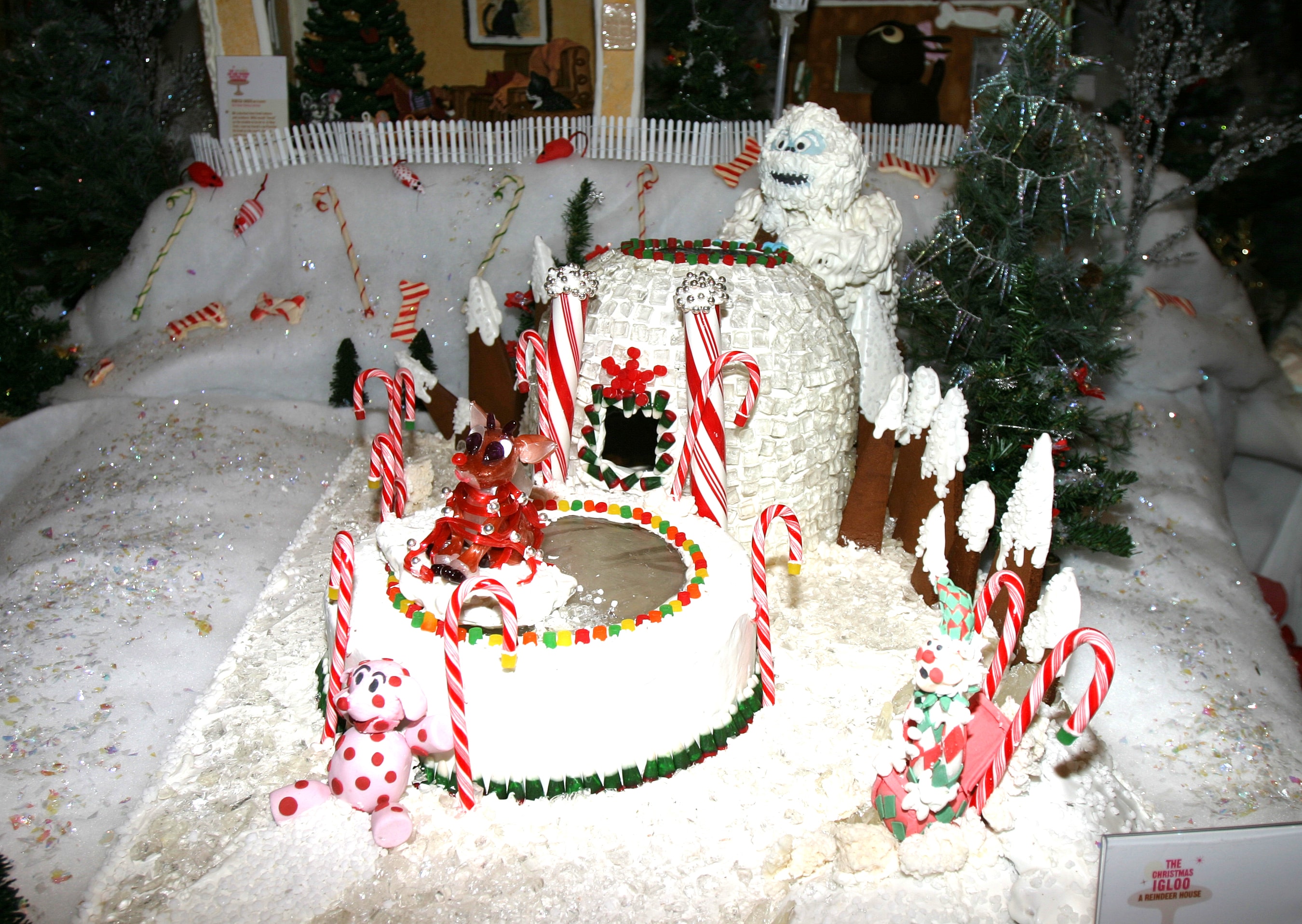 The Christmas Igloo — A Reindeer House