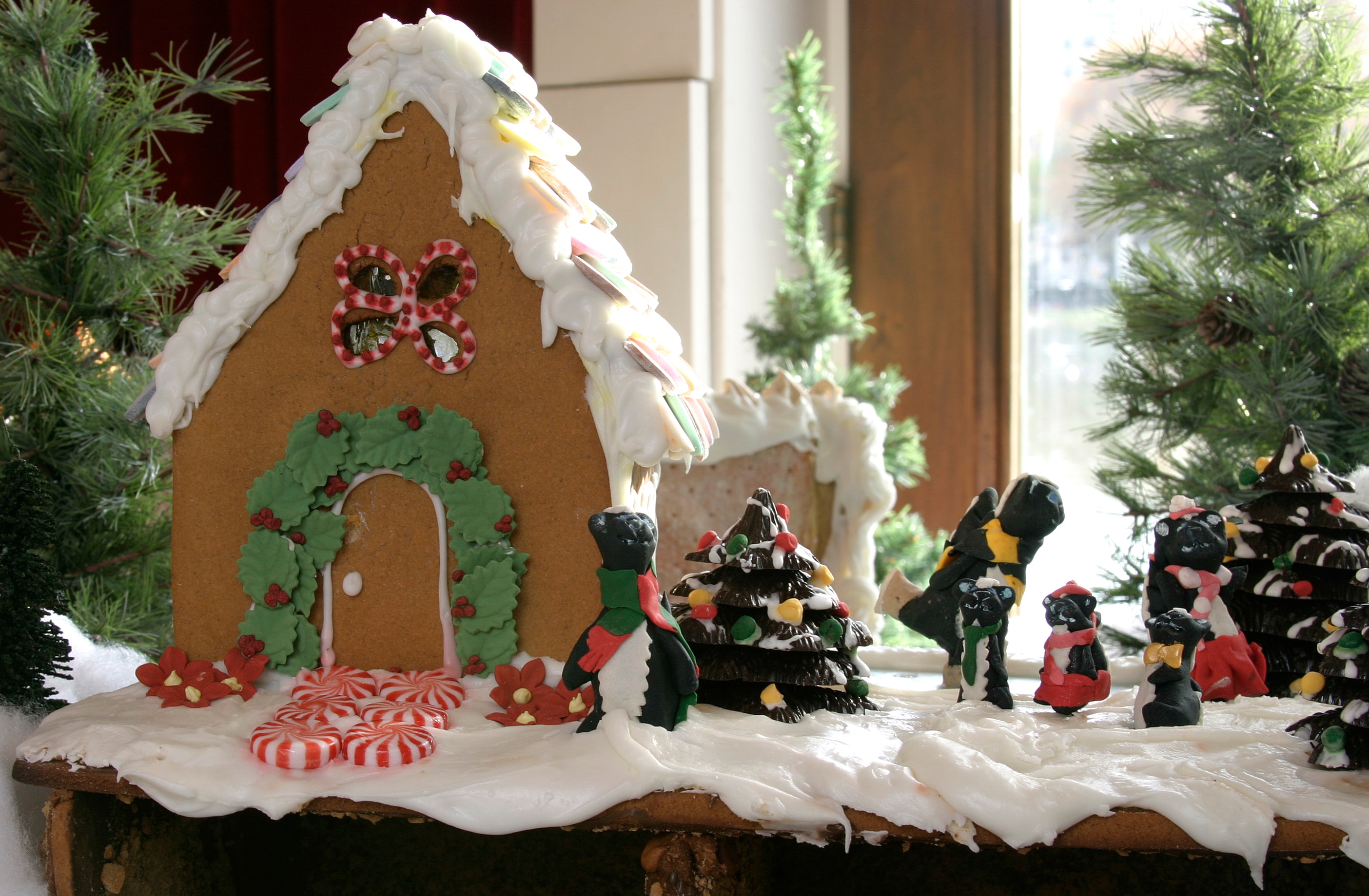Winter Horse Haven — The Horses