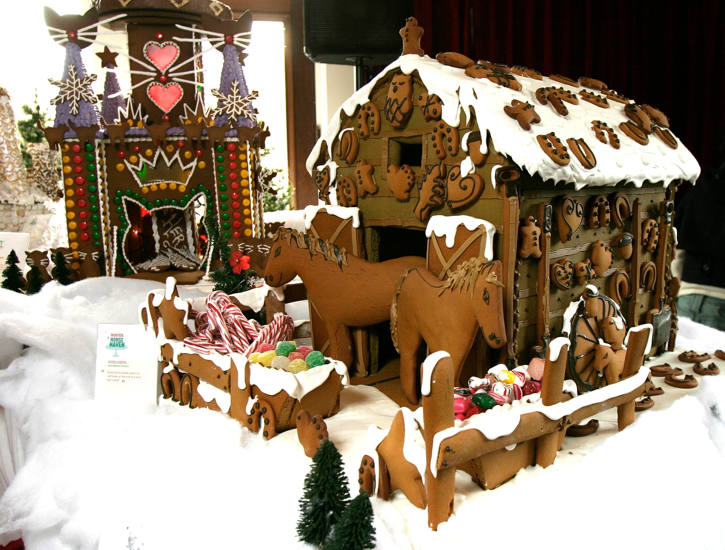 Winter Horse Haven