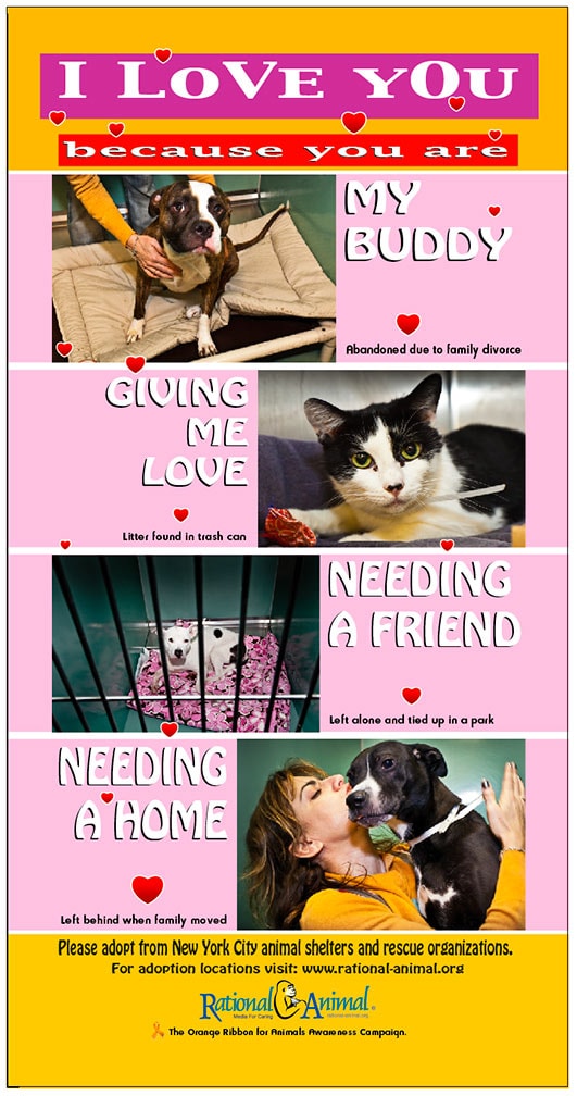 I Love You Because You Are — Animal Adoption Campaign poster