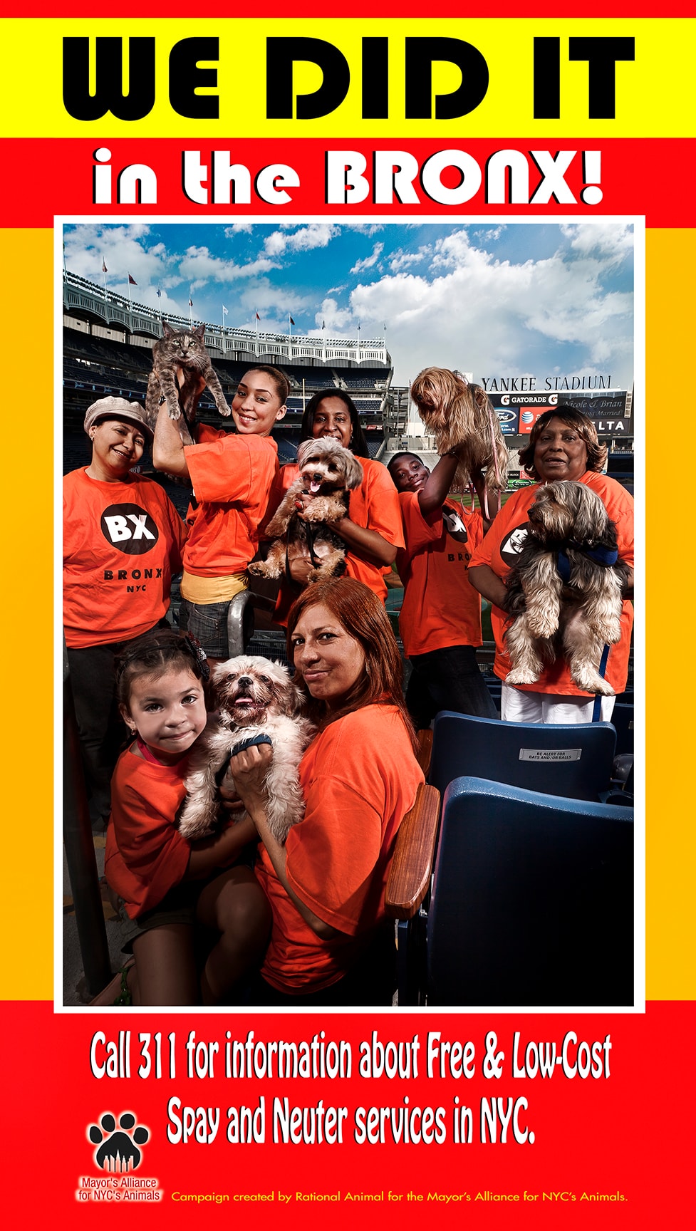 We Did It in the Bronx — Spay and Neuter Campaign poster